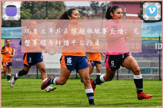 观看土耳其足球超级联赛直播:完整赛程与转播平台指南